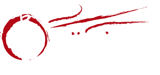 Plozévet 29 Aïkido